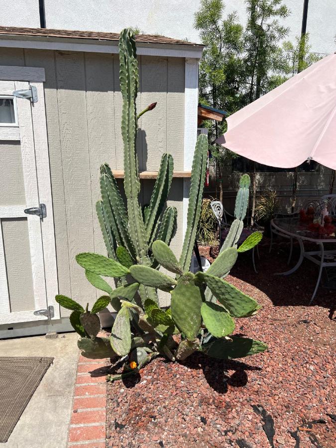 Private Los Angeles Room - Free Wifi, Ac, Tv, Private Fridge, Kitchen, Near Usc - Exposition Park - Usc Memorial Coliseum - Banc Of California Bmo Stadium - Downtown Los Angeles Dtla - University Of Southern California Usc!!! Экстерьер фото